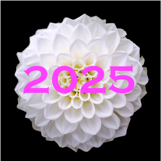 Art in the Garden 2025 - logo